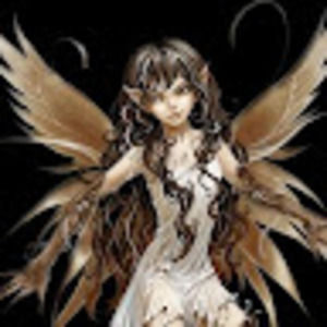 Meet your Posher, Harley